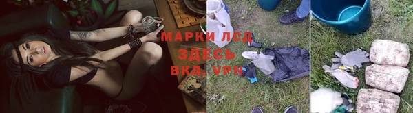 эйфоретик Арсеньев