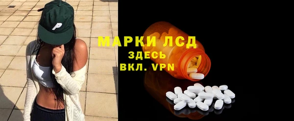 стаф Аркадак