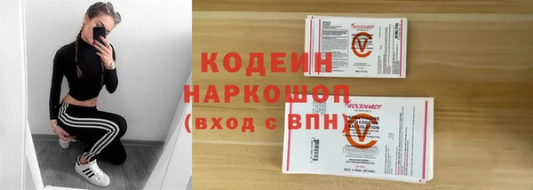 стаф Аркадак