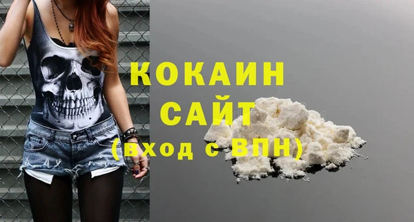эйфоретик Арсеньев