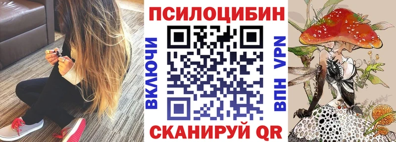 гидра как зайти  Строитель  Галлюциногенные грибы Cubensis 